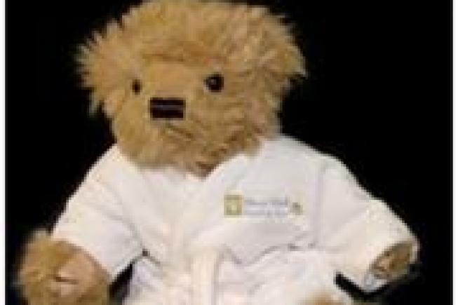 A Moor Hall teddy bear