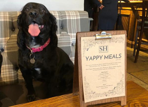 Yappy Meal's