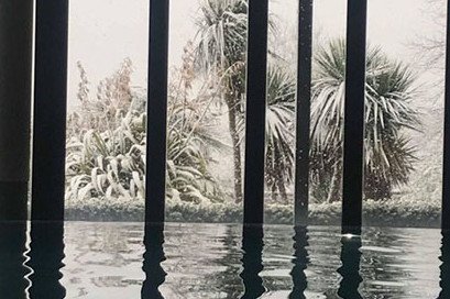 Winter Dip & Dine